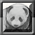 China Panda Zuma