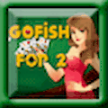Go Fish For 2