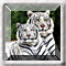 Hidden Numbers - White Tiger