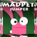 Madpet Jumper