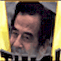 Saddam Or Celeb?