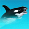 Flipped Out Orca