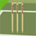Np Cricket